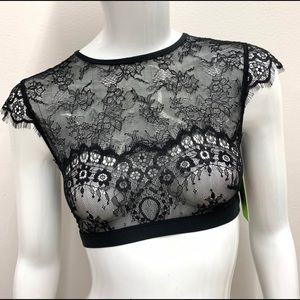 Sam Edelman Lace Bralette Crop Top